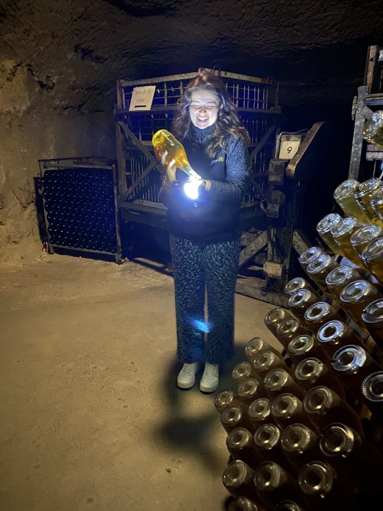 Conservation en cave